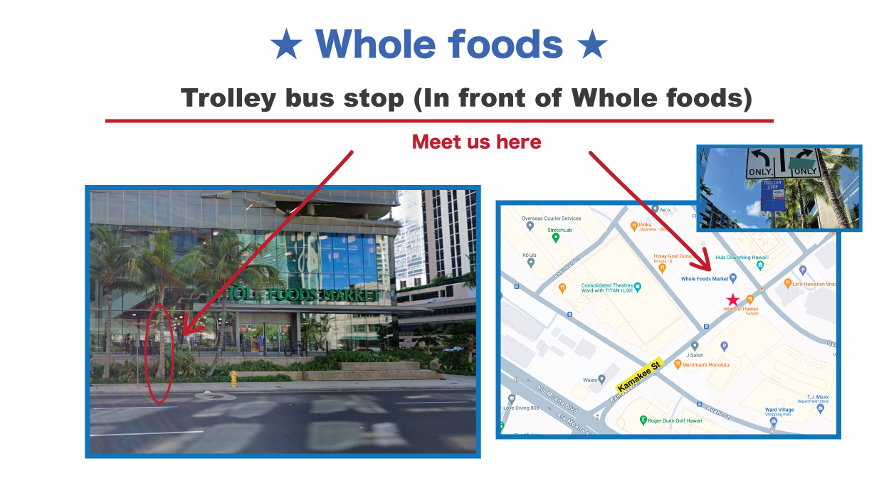 turtle-trolley-and-you-creations-site