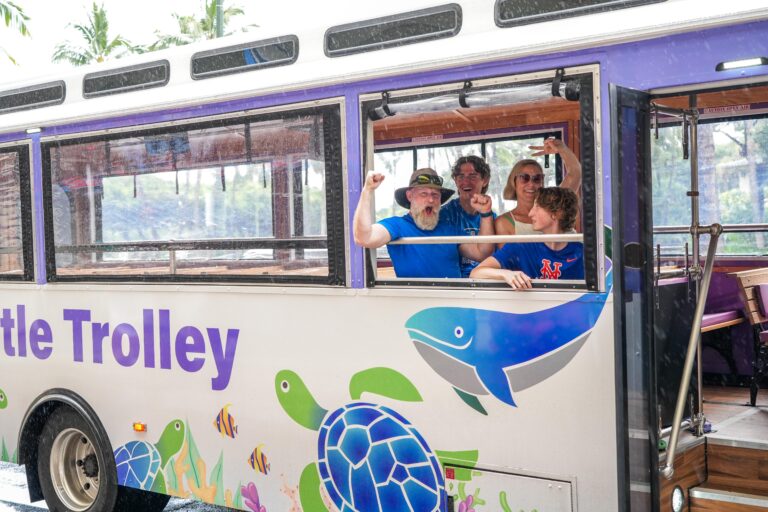 Read more about the article Discover Oahu’s Beauty with Turtle Trolley: Scenic Rides, Expert Guides, and Free Shuttle Services!