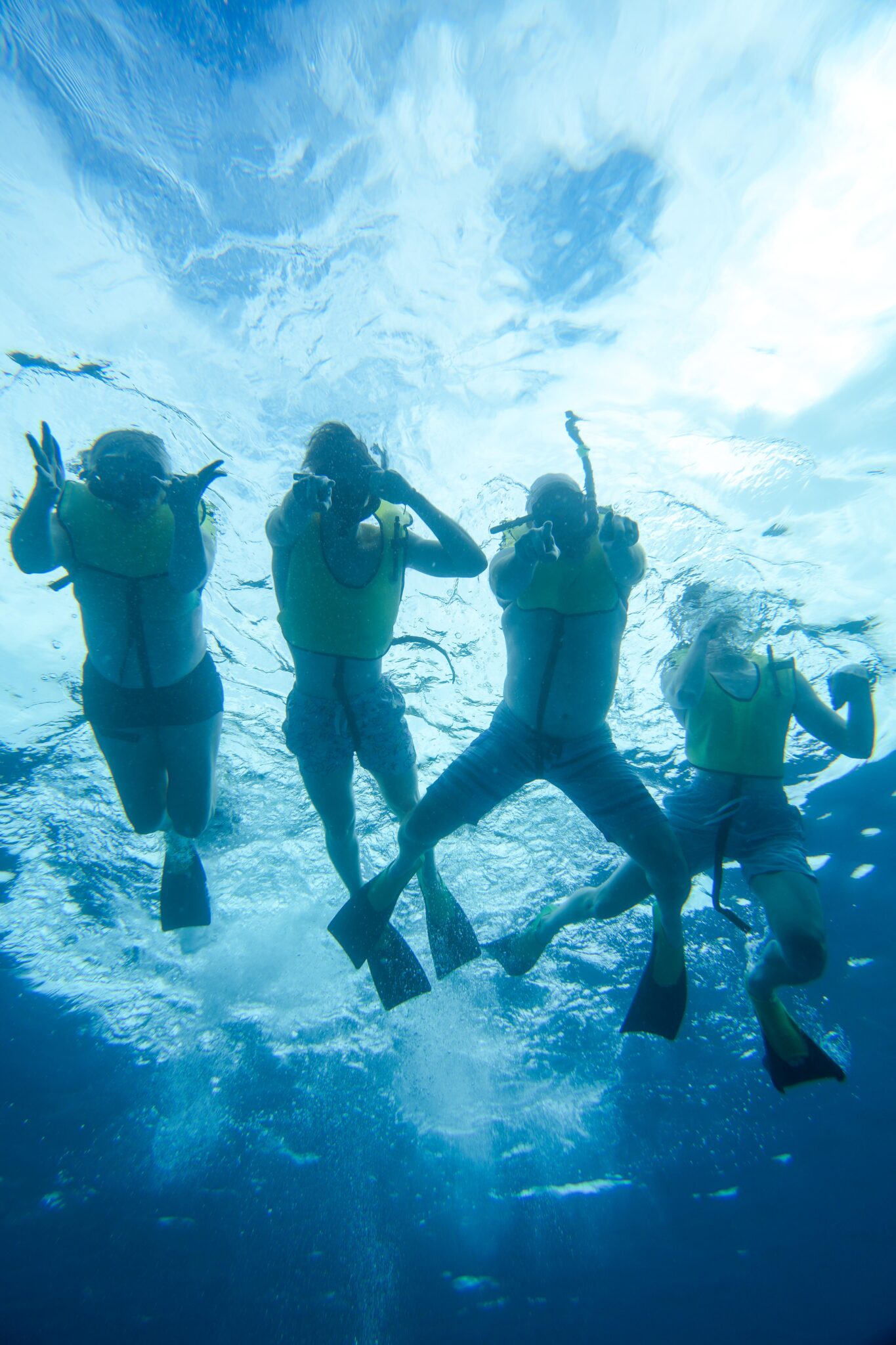 Oahu Turtle Snorkeling Tour in Waikiki Turtle Canyon Free Turtle