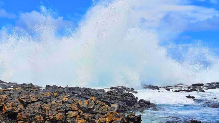 Read more about the article マカプウの隣に続く、アランデイビスビーチ🏖️