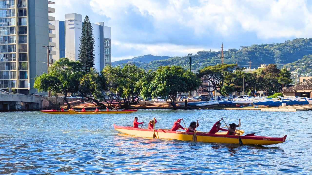 Read more about the article アラワイでアウトリガーカヌーの練習🛶