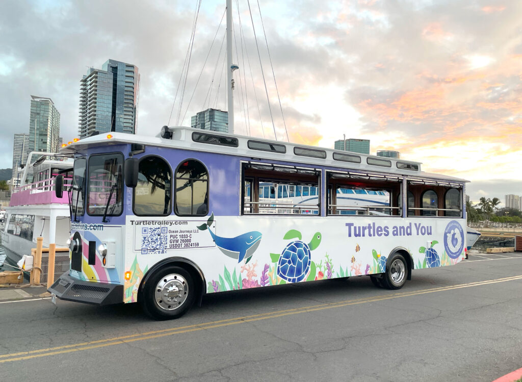 turtle trolley in hawaii