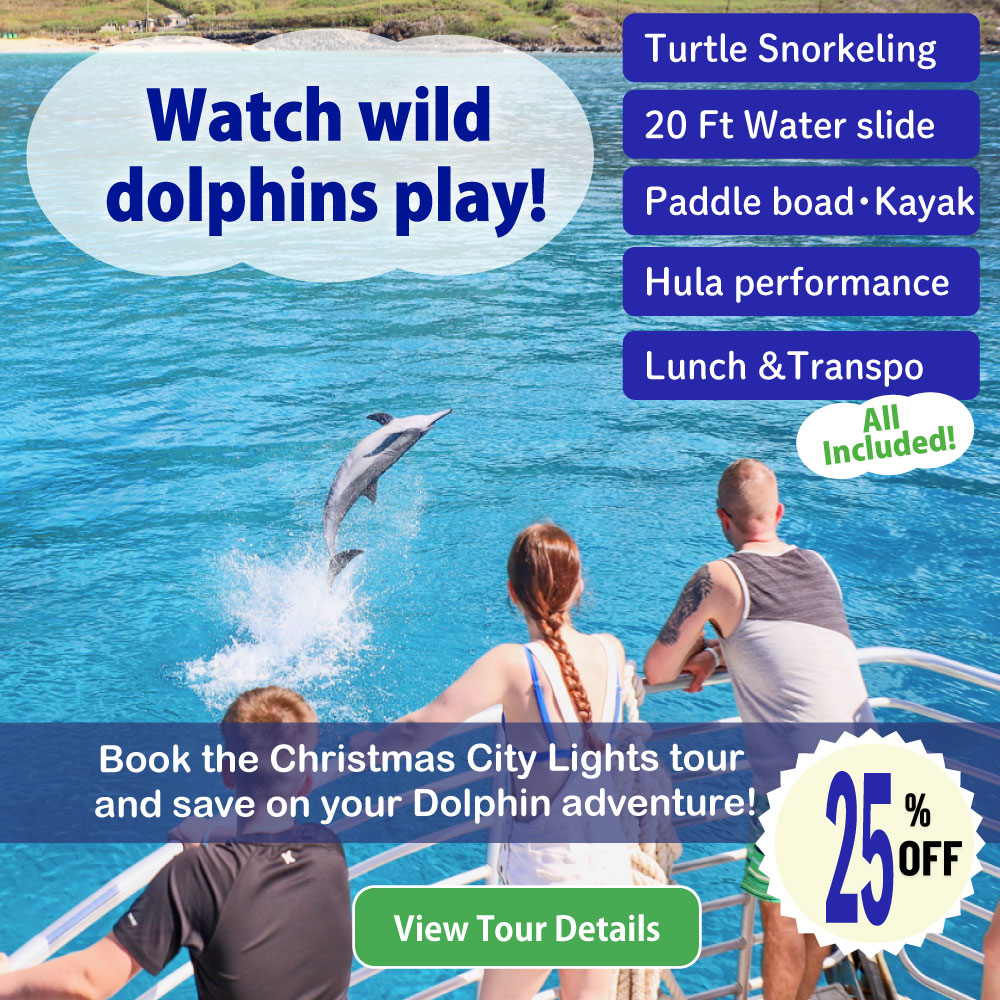 Dolphin Watching tour in Oahu