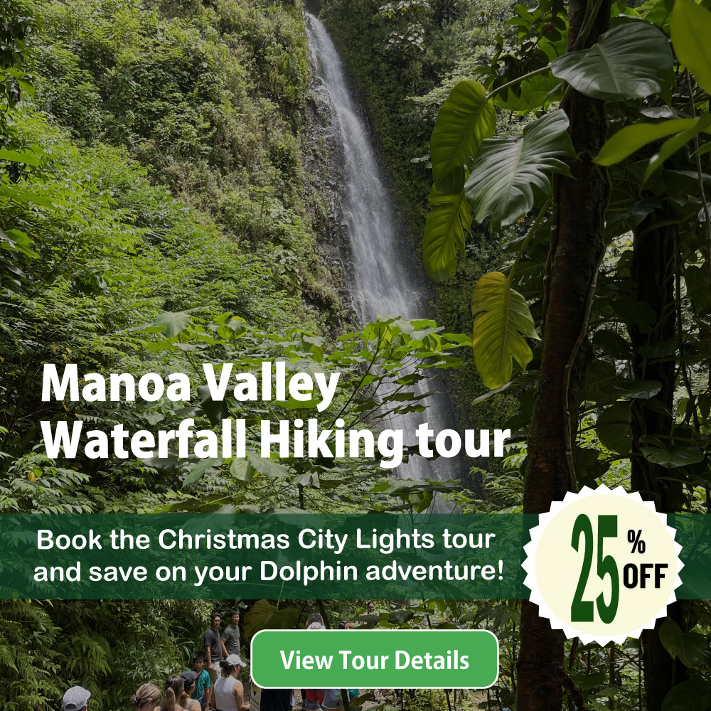 Manoa waterfall hiking tour