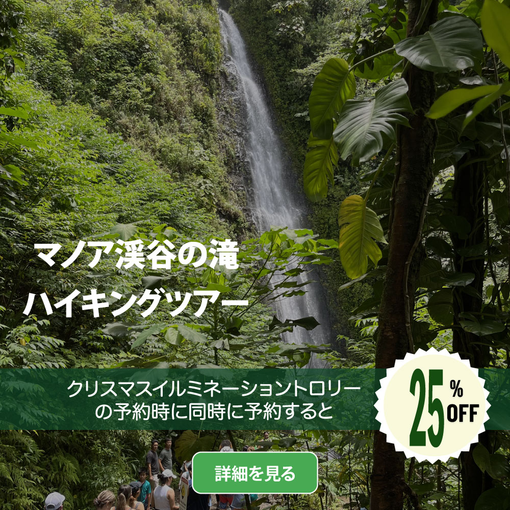 Manoa_sq_trolley25_jp