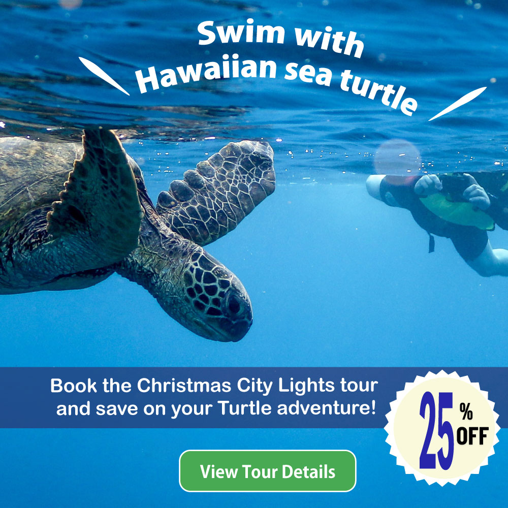 Waikiki Turtle snorkeling tour