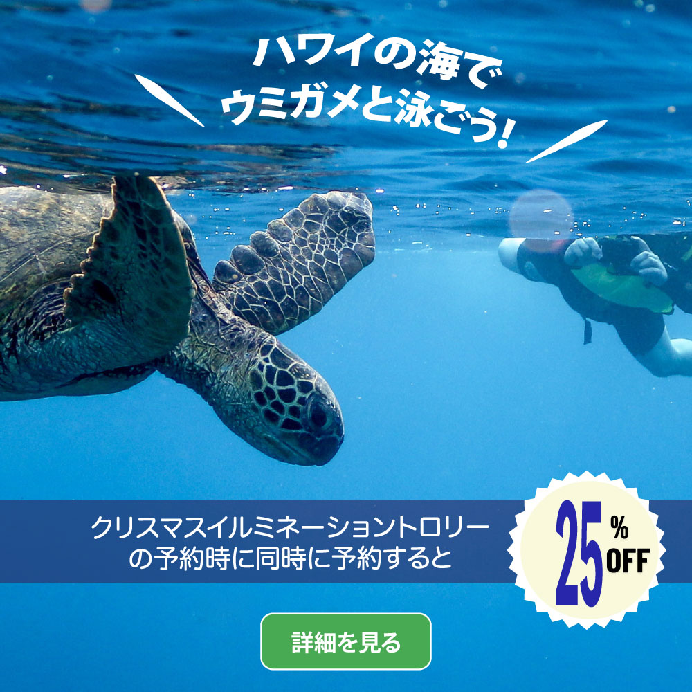 Turtle_sq_trolley25_jp