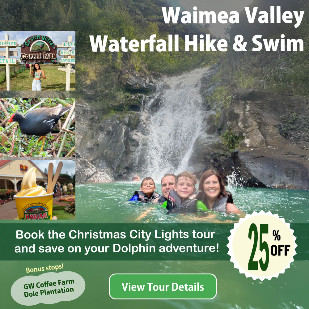 Waimea Waterfall hike&Swim