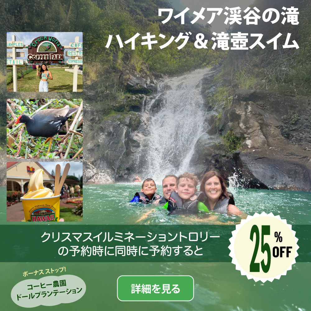 ワイメア渓谷の滝　ハイキング＆滝壺スイムツアー