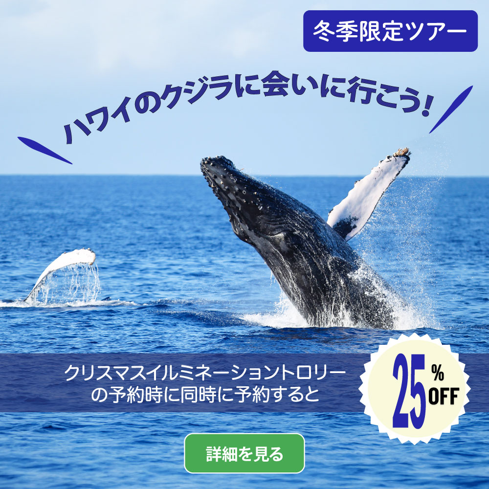 ホエールウォッチング　割引