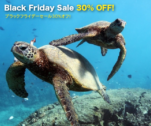 Turtle snorkeling in Oahu Black Friday sale 30% off