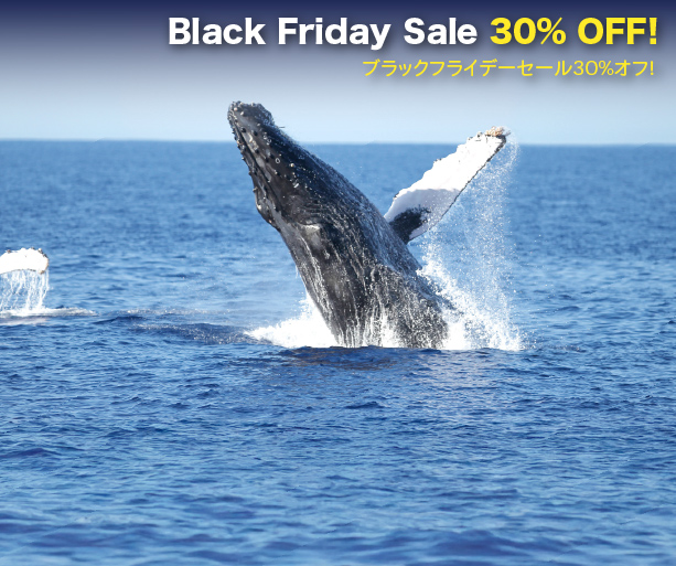 Hawaii Whale watching tour Black Friday sale 30% off