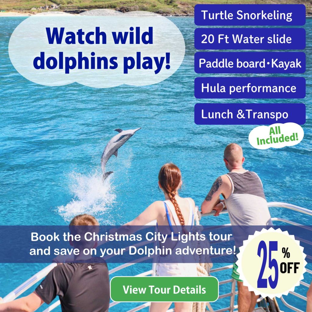 Dolphin Watching tour in Oahu 25%OFF
