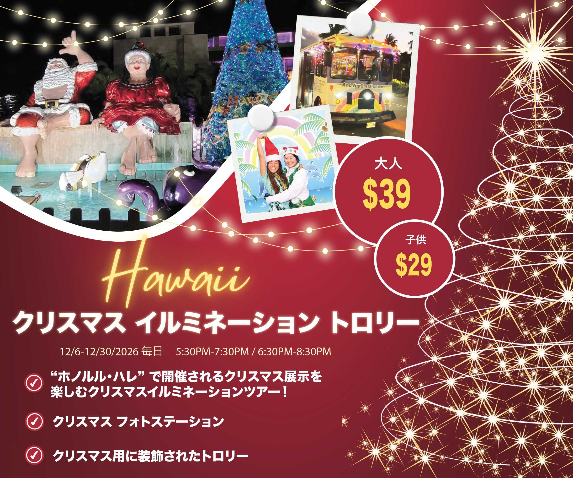 ハワイ クリスマス イルミネーション トロリーで行くホノルル・シティ・ライツ